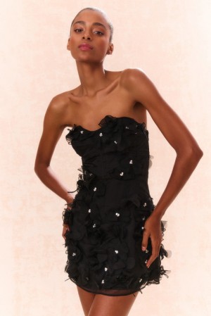 Black Women LoveShackFancy Sabila Organza Mini Dress | OUR-857409