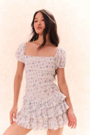 Blue Women LoveShackFancy Fellows Cotton Floral Dress | AJW-027965