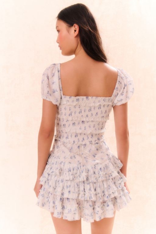 Blue Women LoveShackFancy Fellows Cotton Floral Dress | AJW-027965