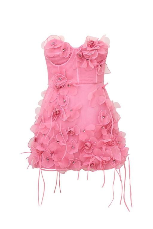 Pink Women LoveShackFancy Sabila Organza Mini Dress | EBL-317820